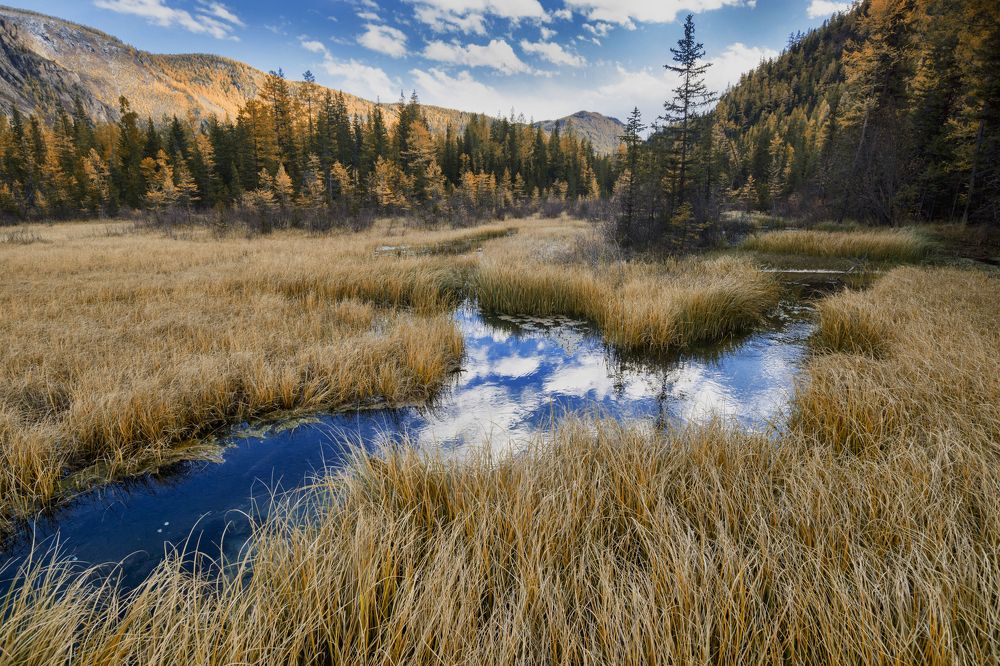 Осенний Алтай