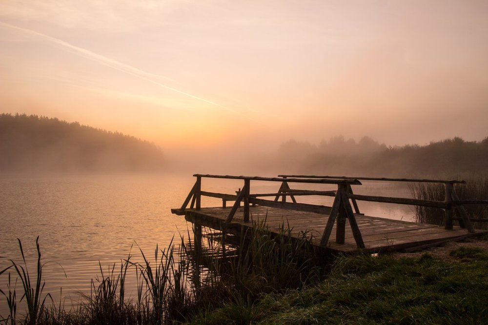 туманный рассвет