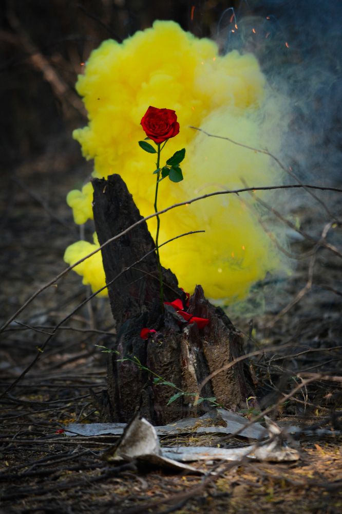 The contrast Between Reality and Hope