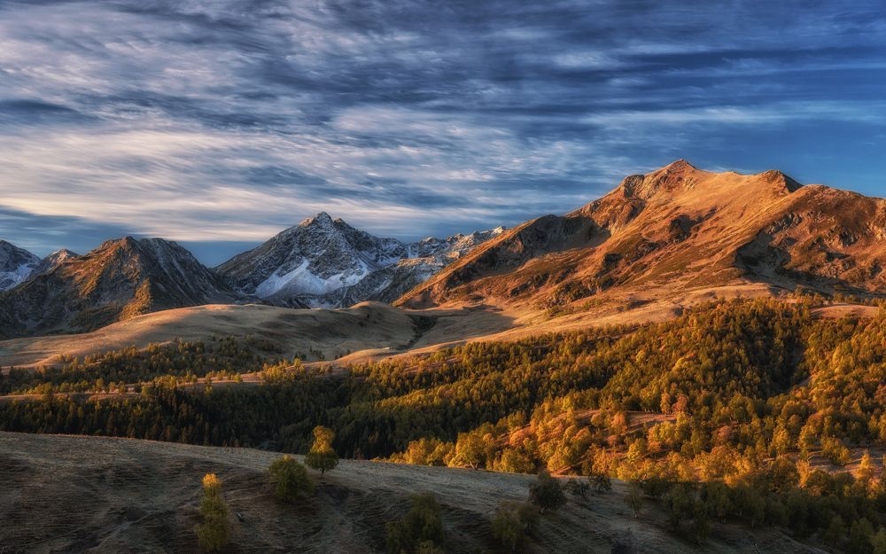 Одним кавказским утром...