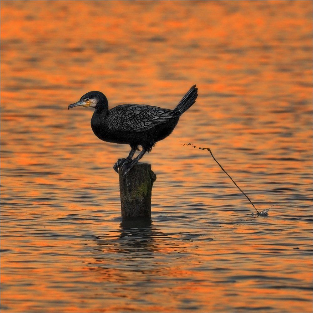 Это естественно!
