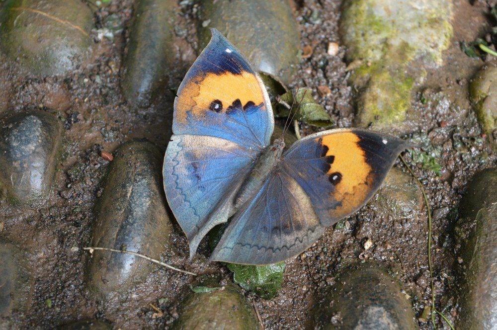 Photograph by Софья Андреевна Кирьякова