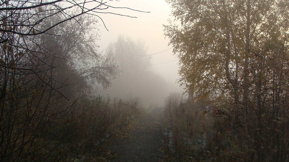 Photograph by Илья Михайлов