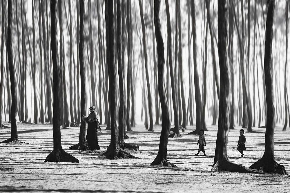 Когда деревья были большими