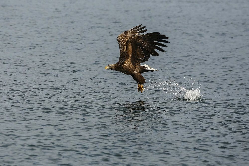 Морская рыбалка