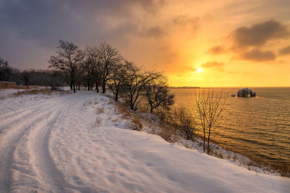 Мороз и утро...