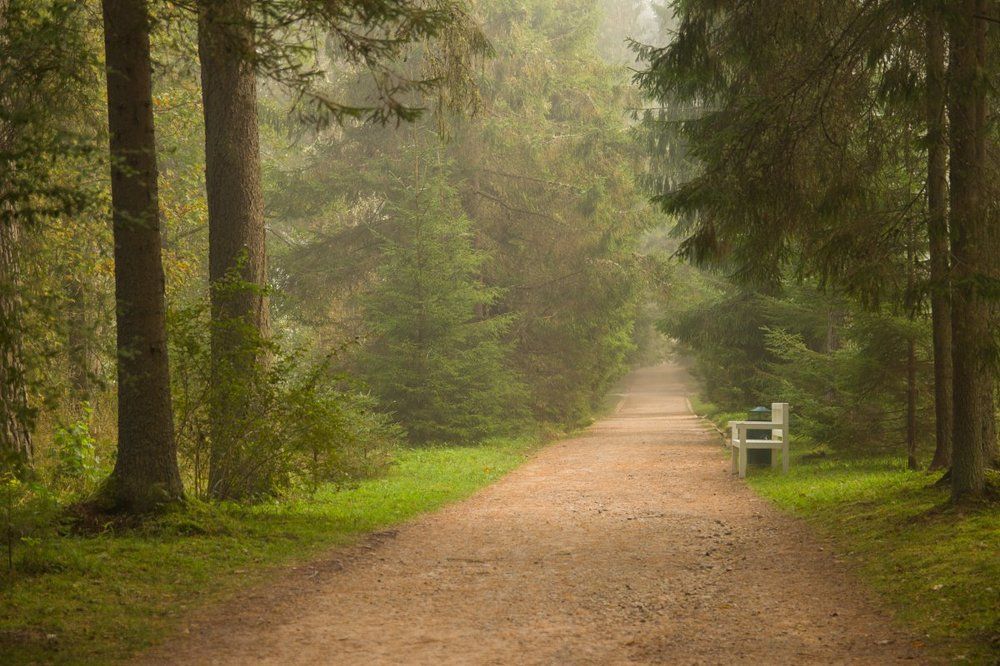 утро туманное...