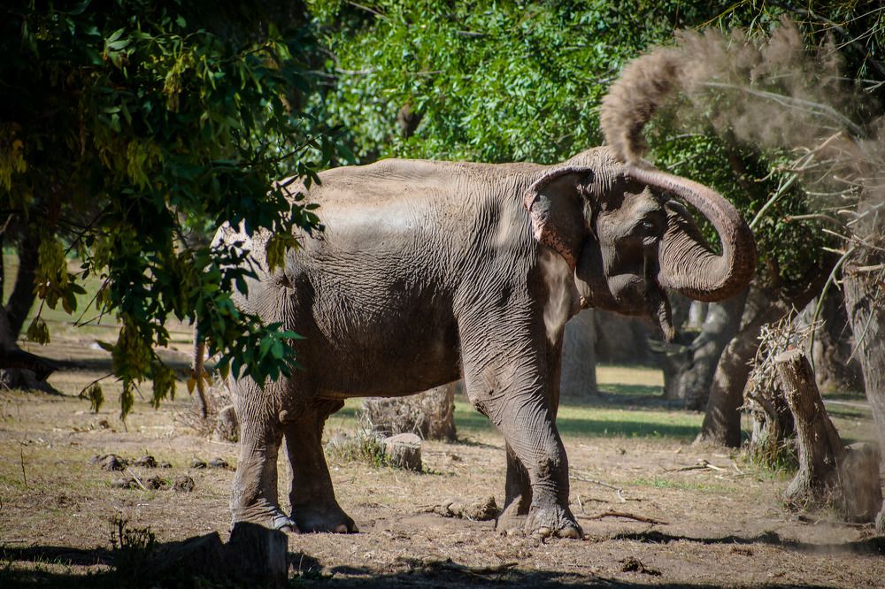 Радуйтесь жизни