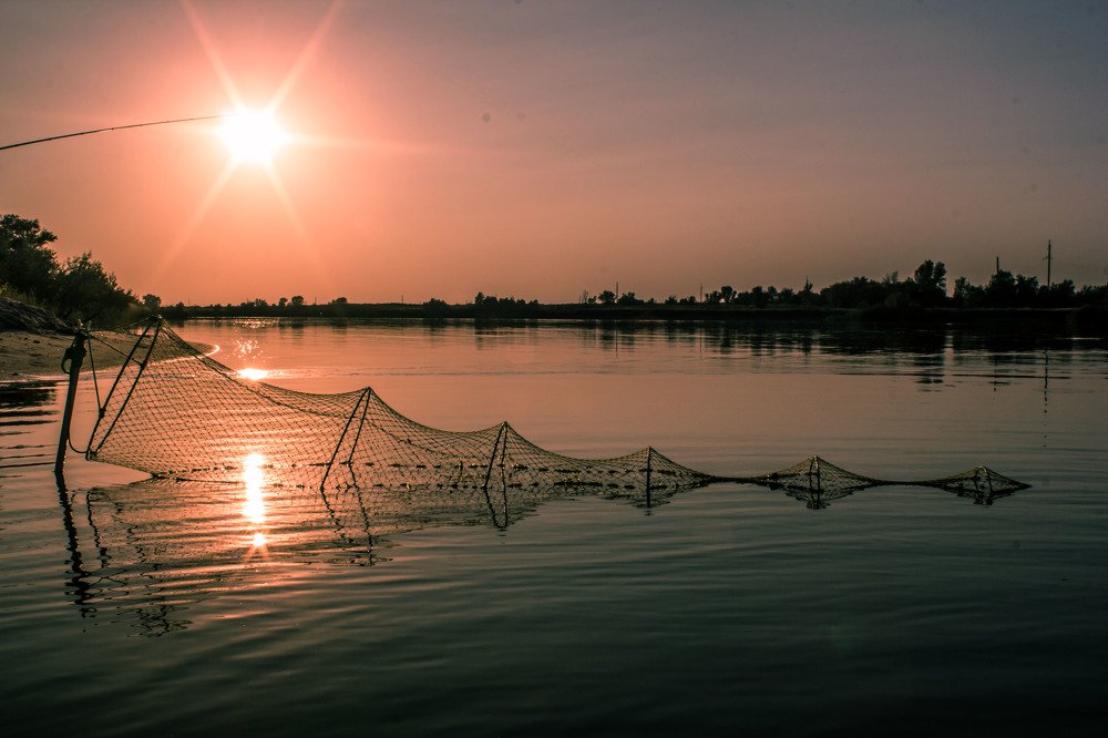 Солнечный улов