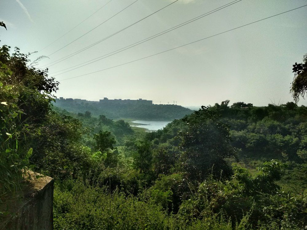 nature