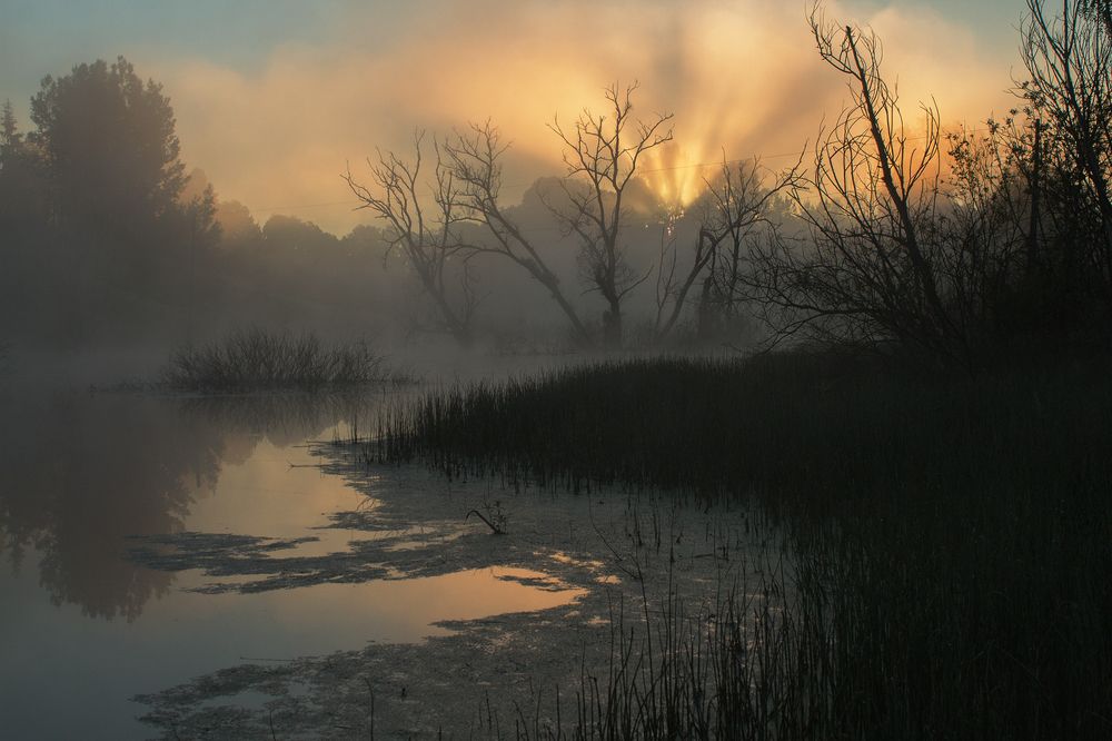 Где загорается рассвет