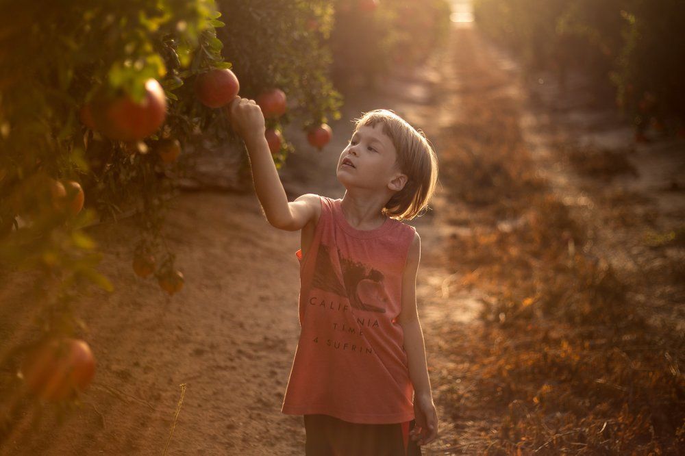 Гранатовая осень