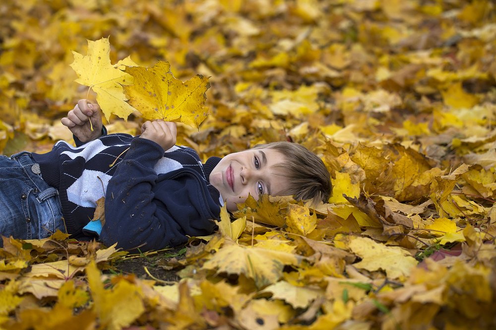 Листья желтые