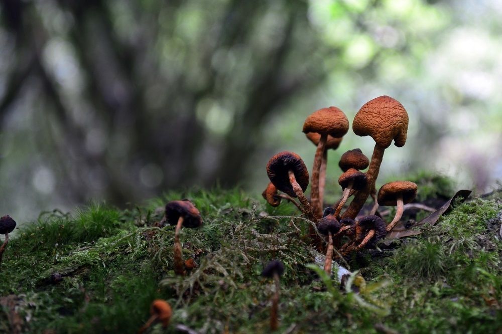 Small, but not so small