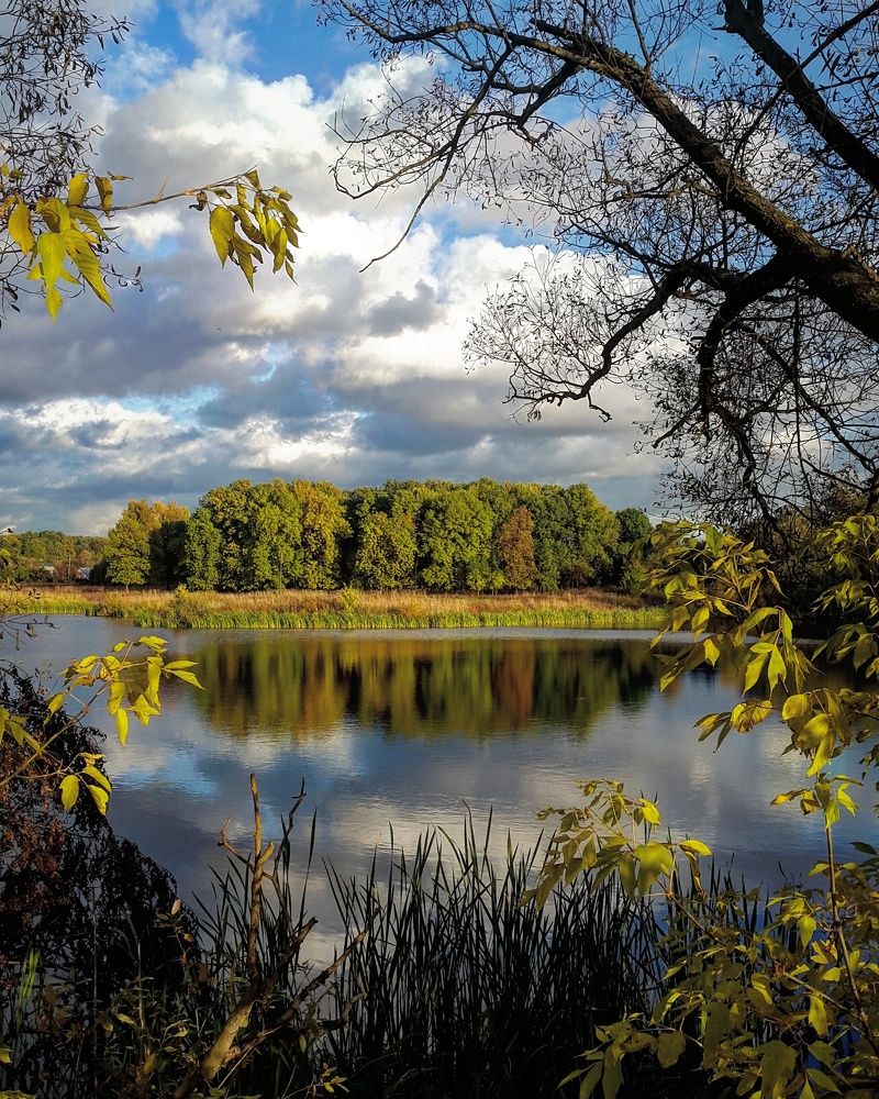 Художник - осень