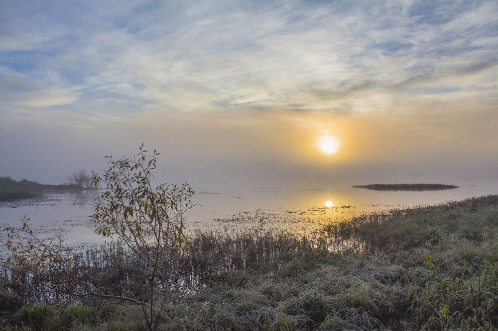 Утро туманное, утро седое...