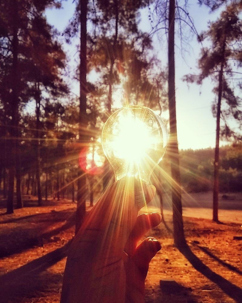 The light of the life