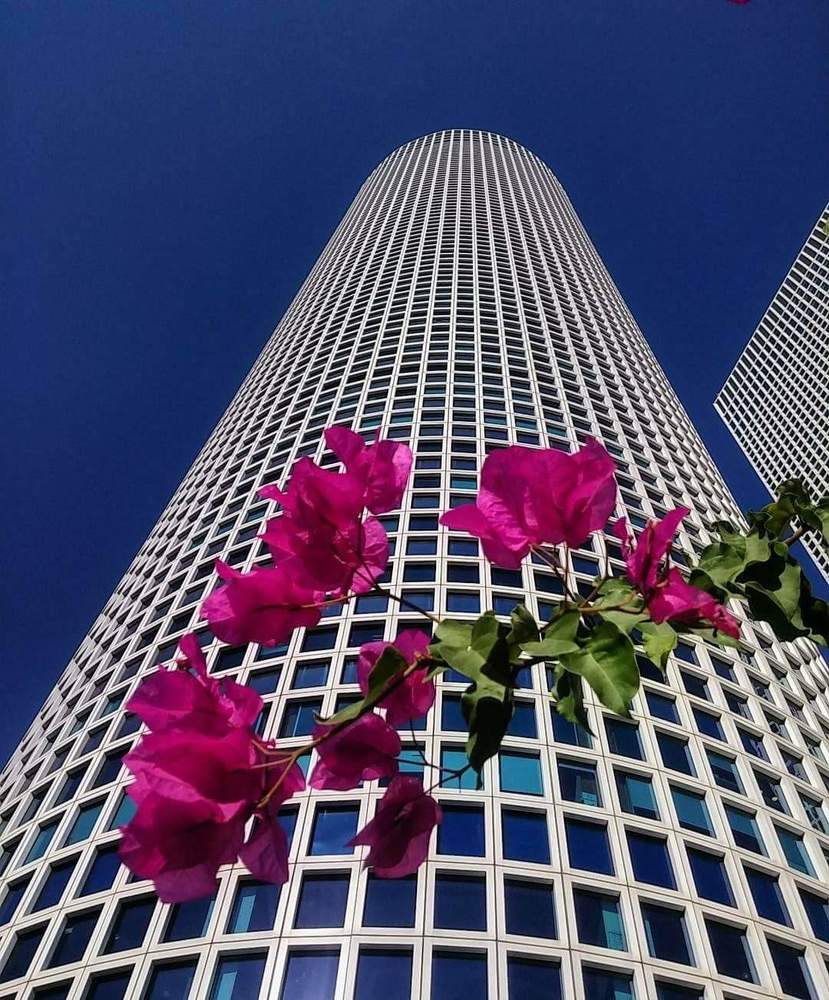 Photograph by Bat El Gitelman