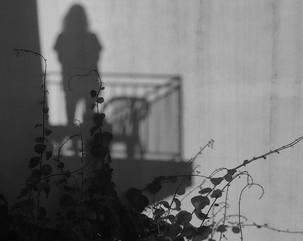 Photograph by Alena
