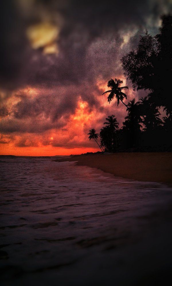 Photo #1990907