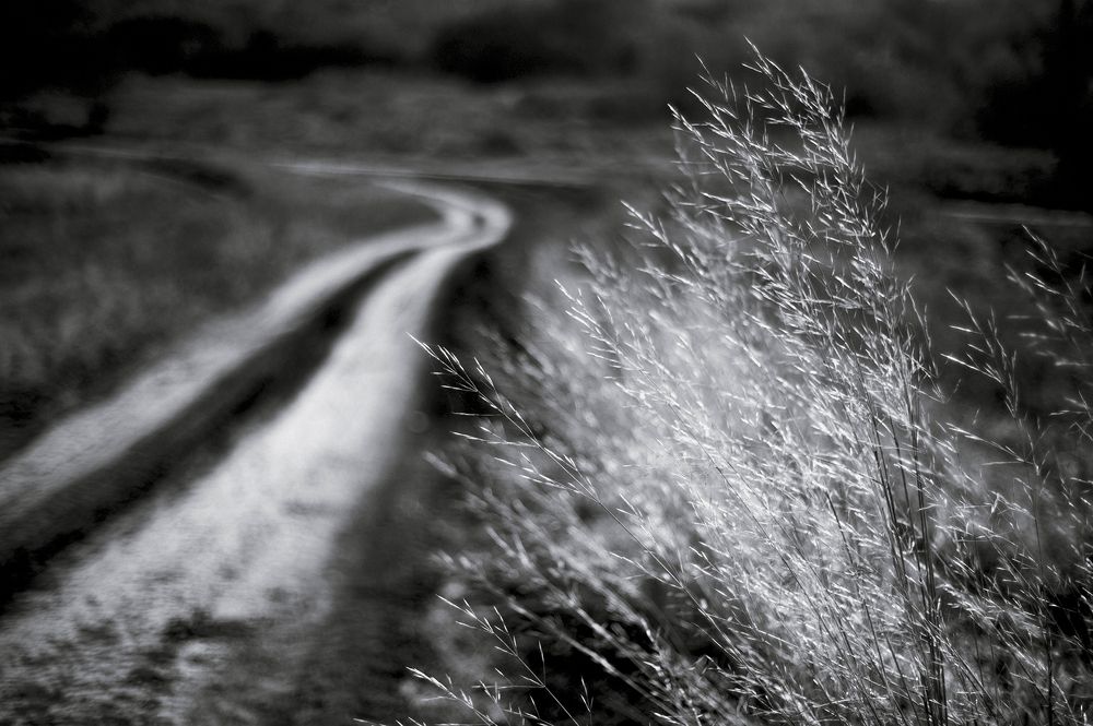 Дорога в осень