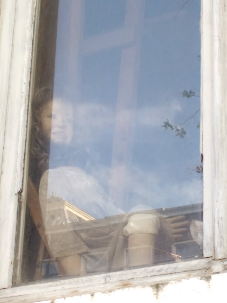 The doll in the window