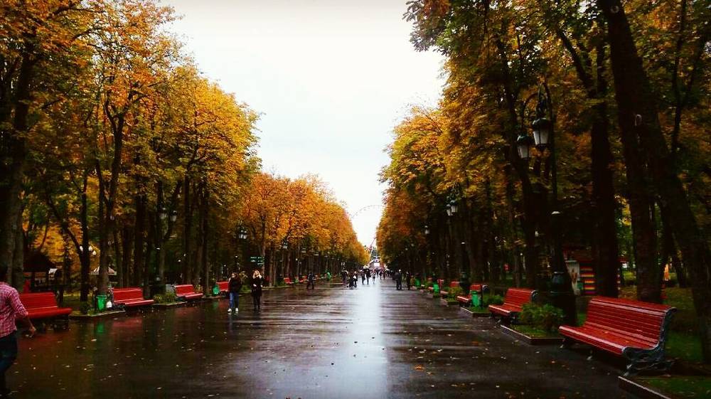 Фотография автора Александр Федоренко