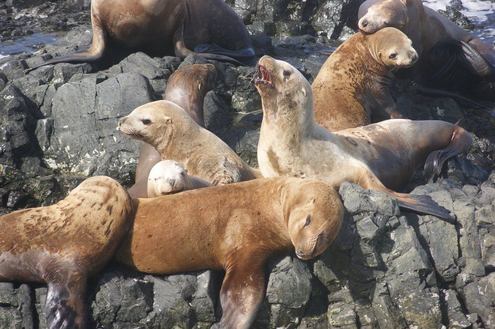 Солнечный день