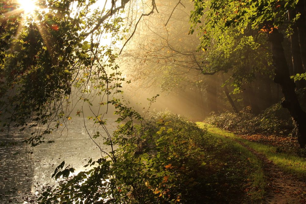 Солнечные лучи