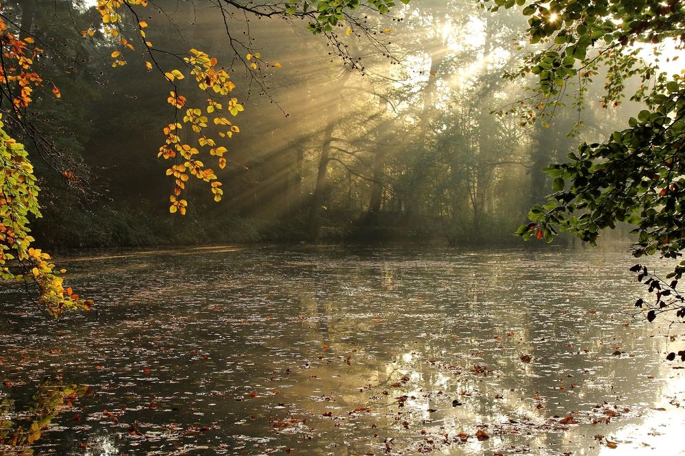 Солнечные лучи