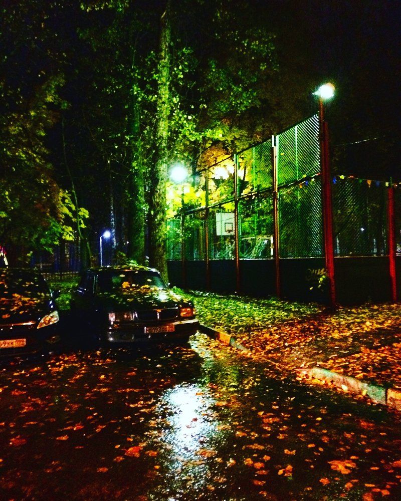 Цвета осени
