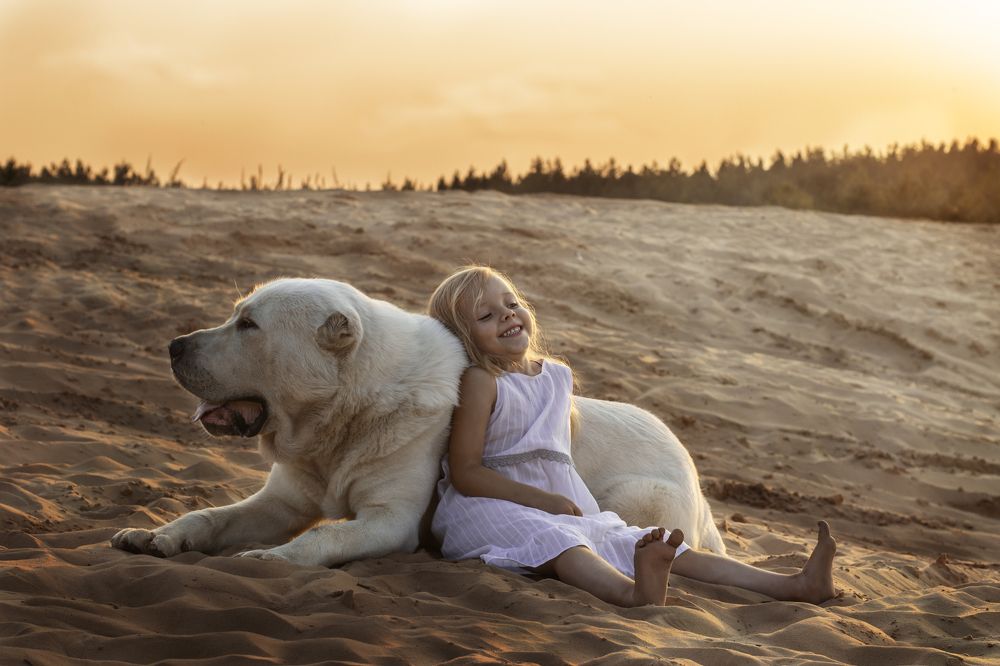 "Сокол, давай отдохнем"