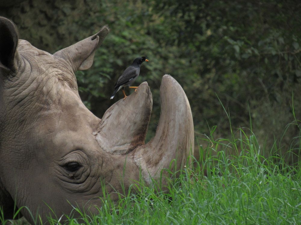 Photograph by Karthik