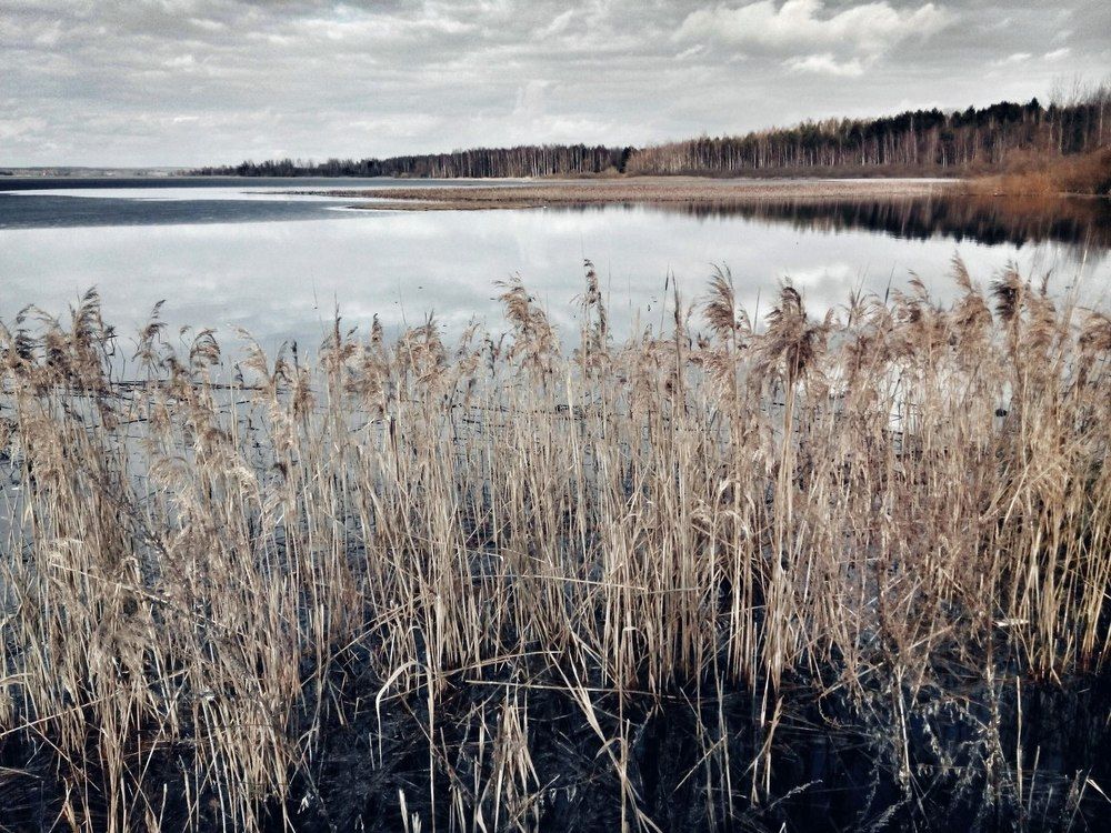 Photograph by Yana