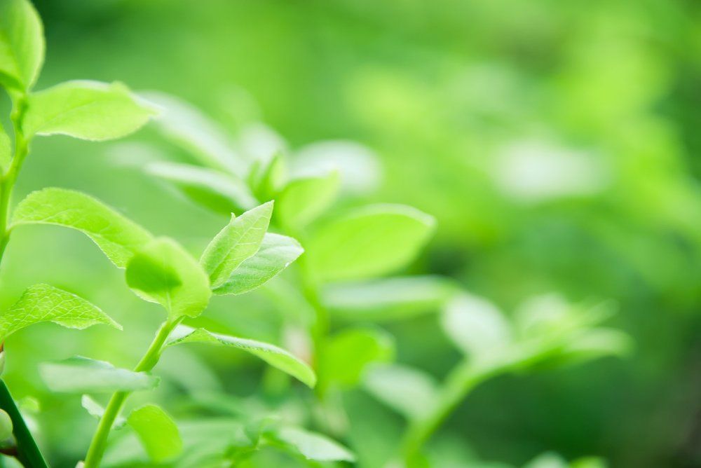 Photograph by Анастасия Хазова