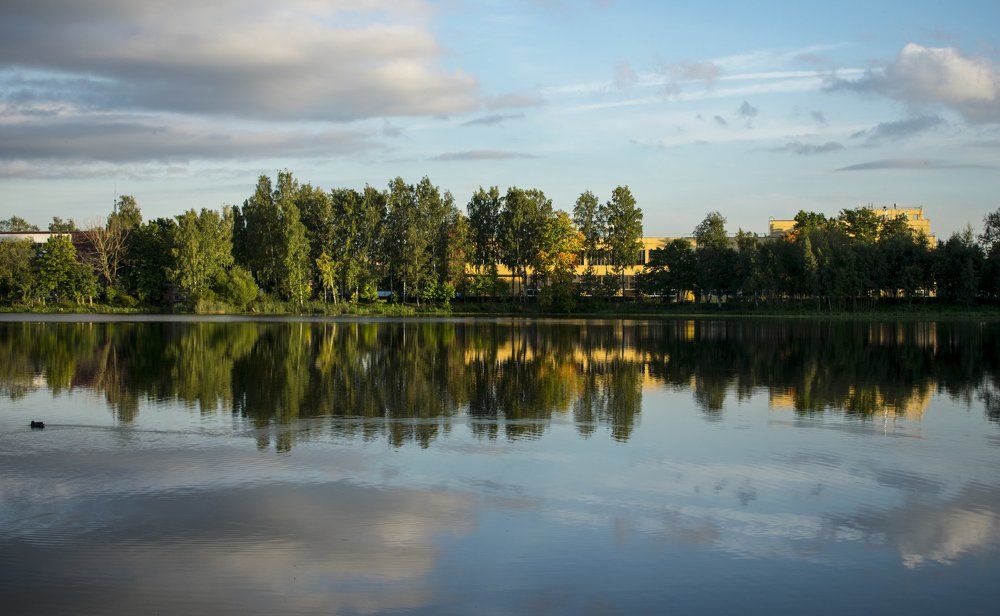 Photograph by Ирина