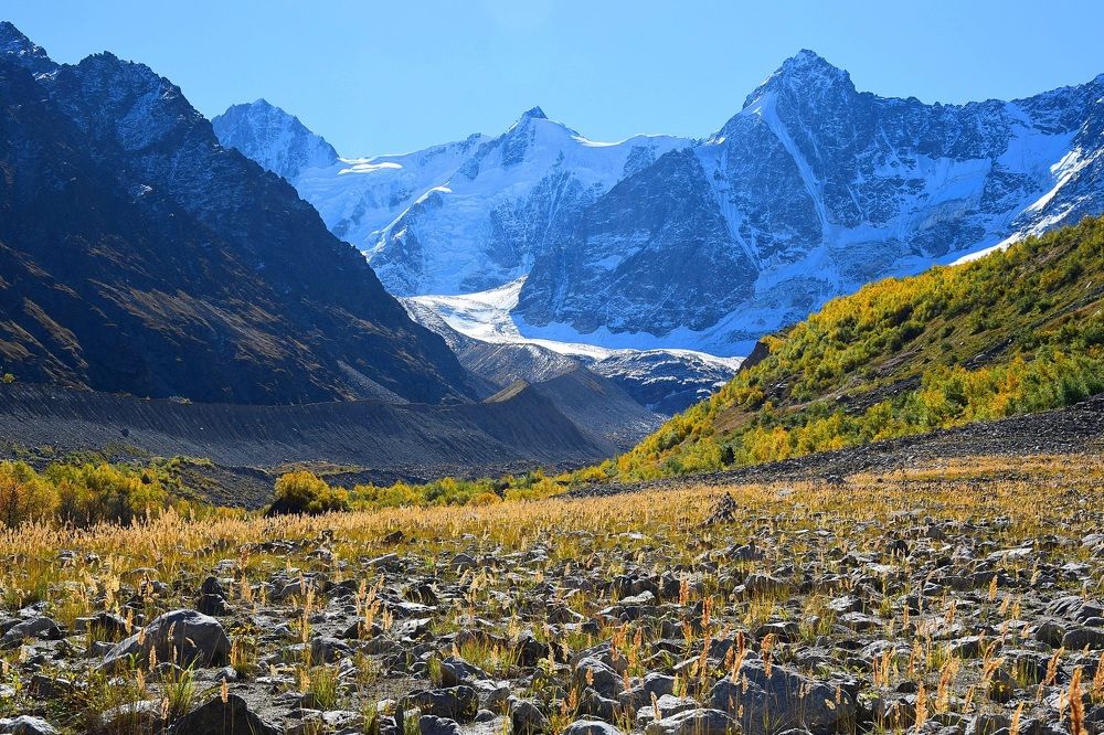 Осенние контрасты