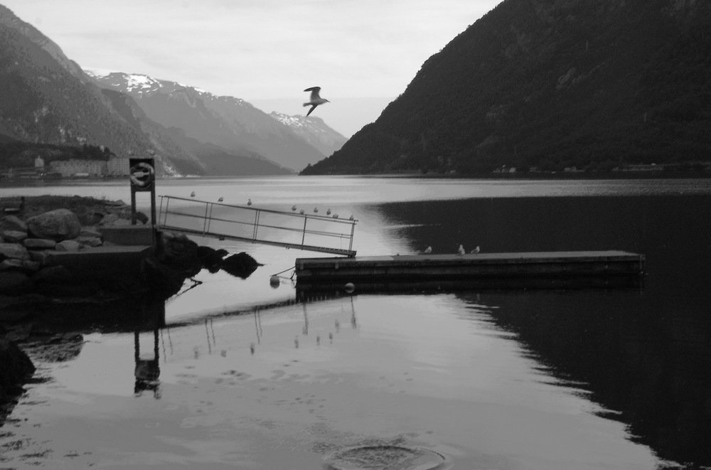 Дождливым утром...