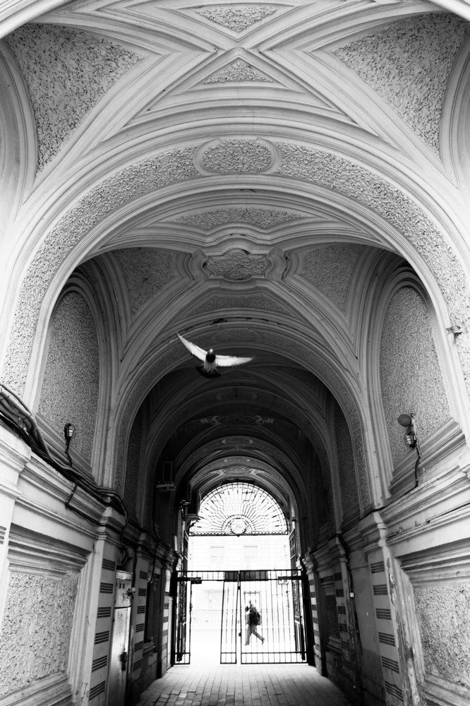 Дыхание сводов