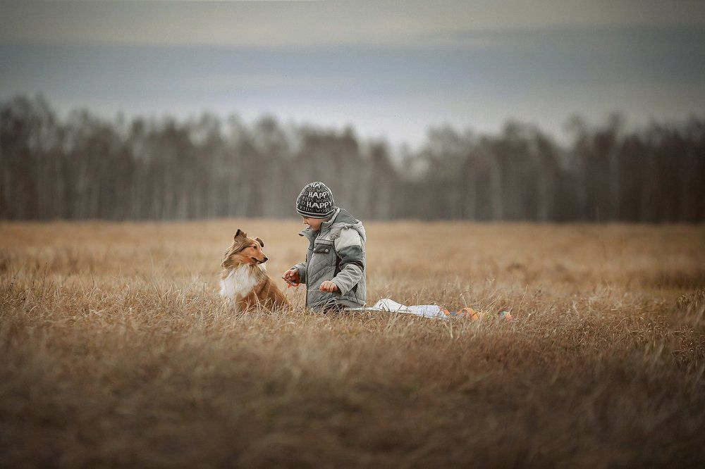 Дениска и Дружок