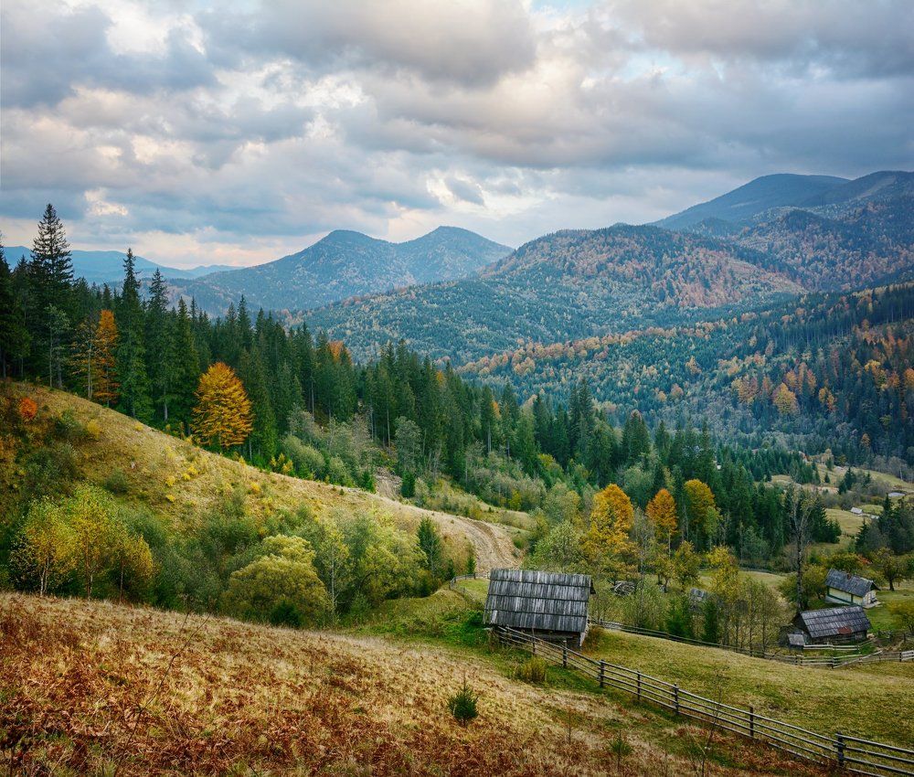 Карпатская пастораль