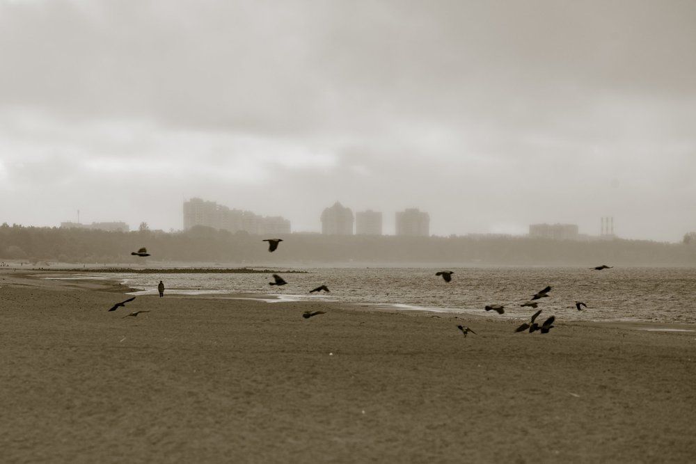 Осень под Питером