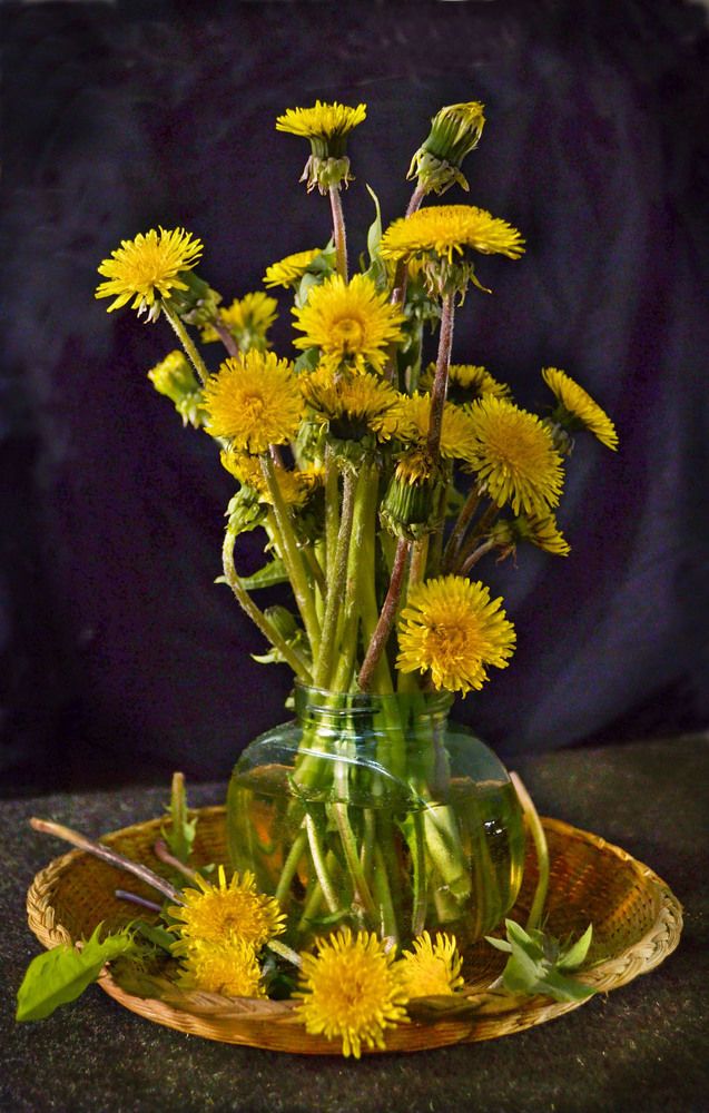 Этюд с одуванчиками