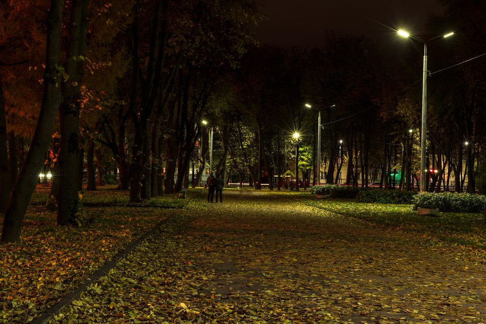 После листопада