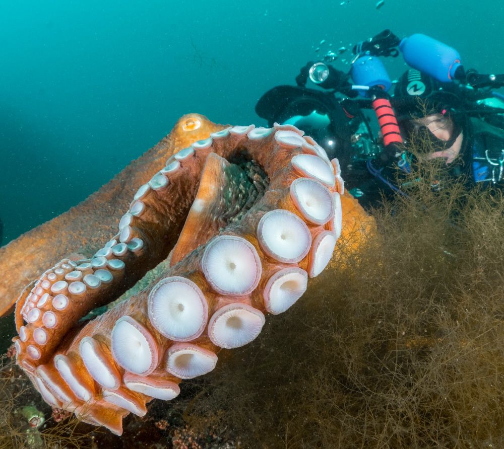 Момент знакомства