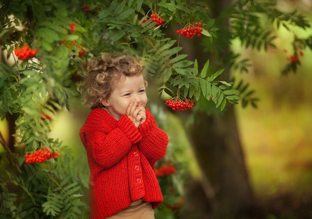 рябина во дворе