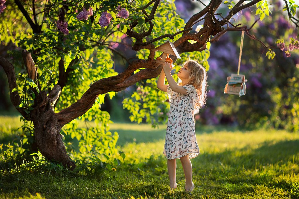 Photograph by Татьяна Воронова