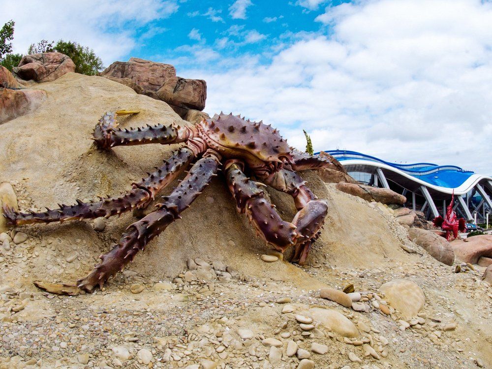 Атака краба