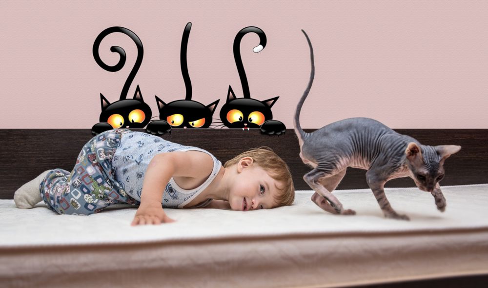 Маленькое любопытство