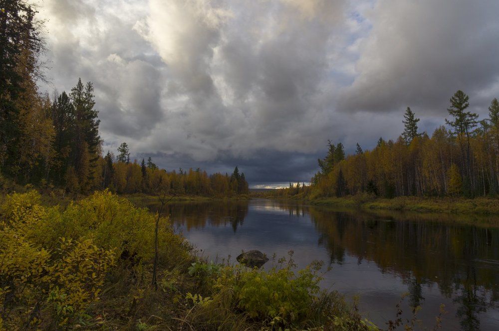 Сибирь. Тайга. Осень.